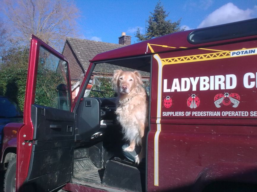 DEFENDER2 NET Gallery Dogs In Land Rovers 30012010